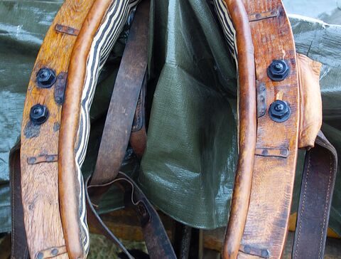 Vollkumt aus dem Bereich Köln mit Ledersträngen