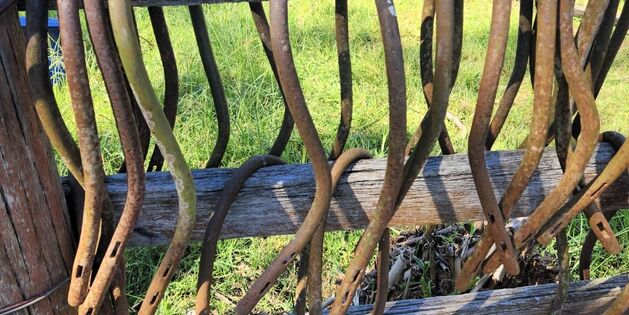 individuelle Bogenformen mit höhenvariablen Schlitzen für Splints