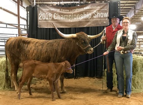 The new ITLA elected president is Larry P Smith. Larry and Heatherly showed Tibina, by Tibbs, to Jr Female Halter Champion. The new ITLA elected president is Larry P Smith. Larry and Heatherly showed Tibina, by Tibbs, to Jr Female Halter Champion.